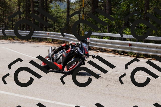 202508161210-_04A0963_c3