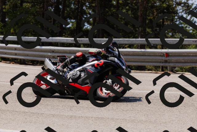 202508161210-_04A0964_c3