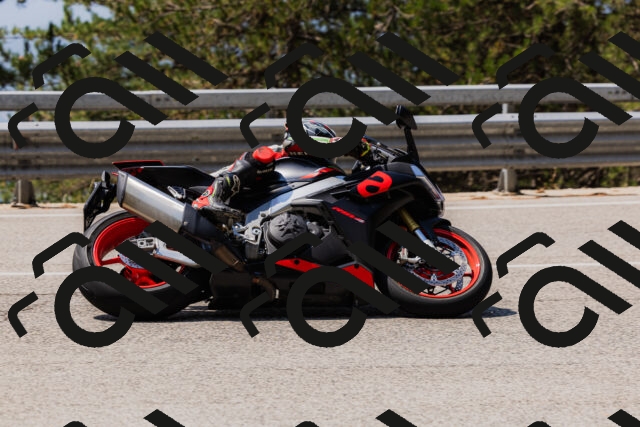 202508161210-_04A0965_c3