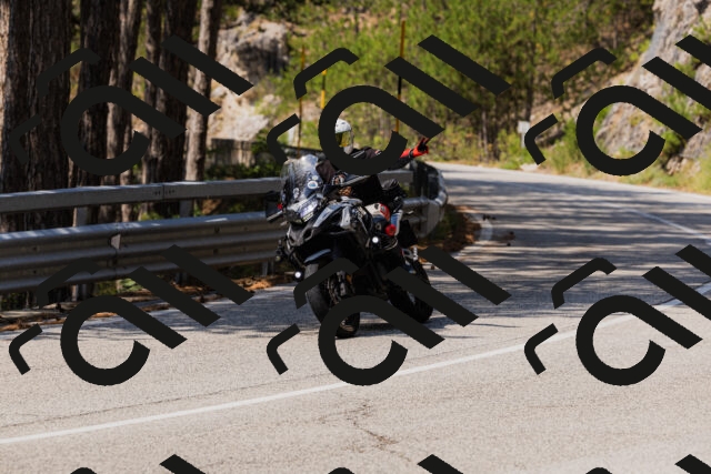 202508161210-_04A0966_c3