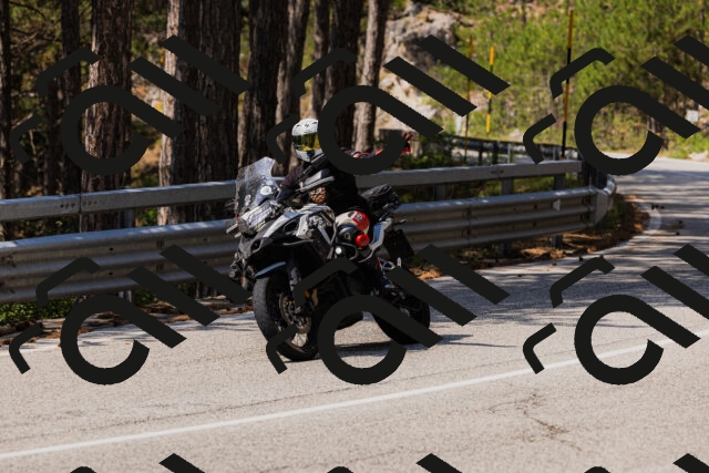 202508161210-_04A0967_c3