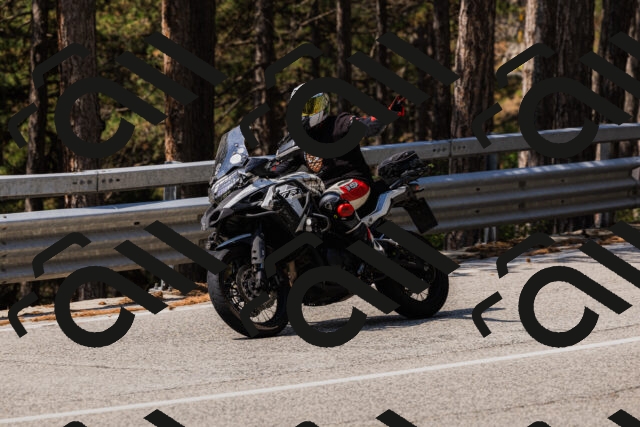 202508161210-_04A0968_c3