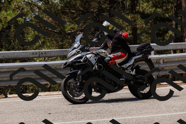 202508161210-_04A0969_c3