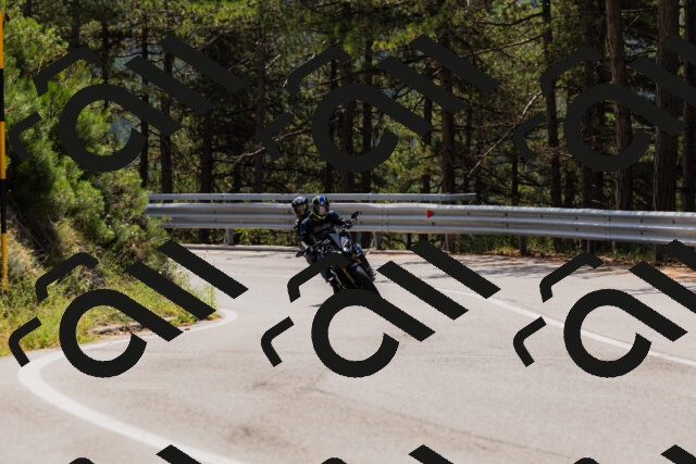 202508161211-_04A0985_c3