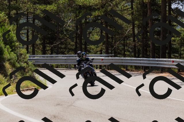 202508161211-_04A0986_c3