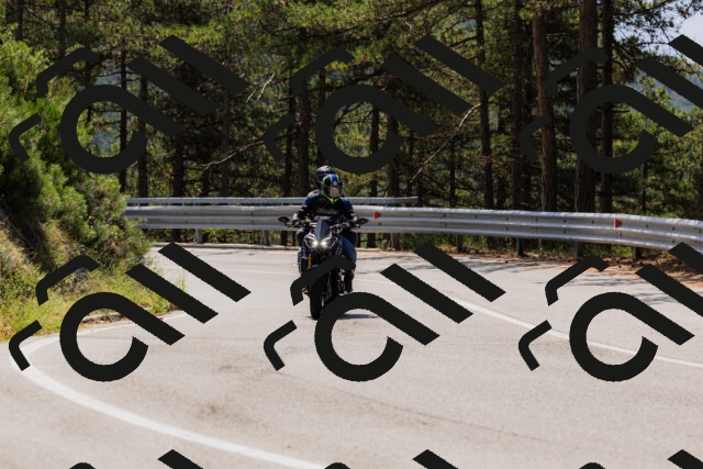 202508161211-_04A0987_c3