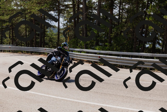 202508161211-_04A0988_c3