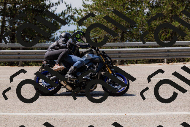 202508161211-_04A0990_c3