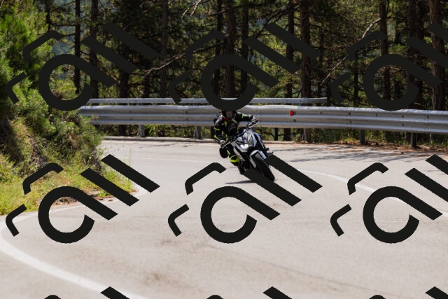 202508161211-_04A0991_c3