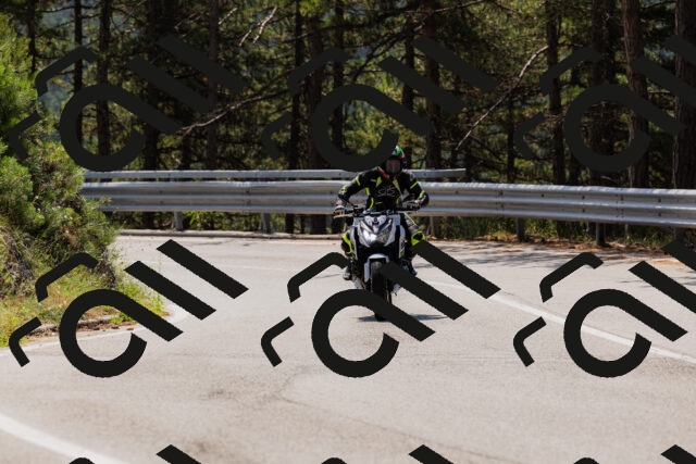 202508161212-_04A0992_c3