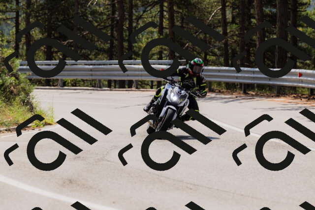 202508161212-_04A0993_c3