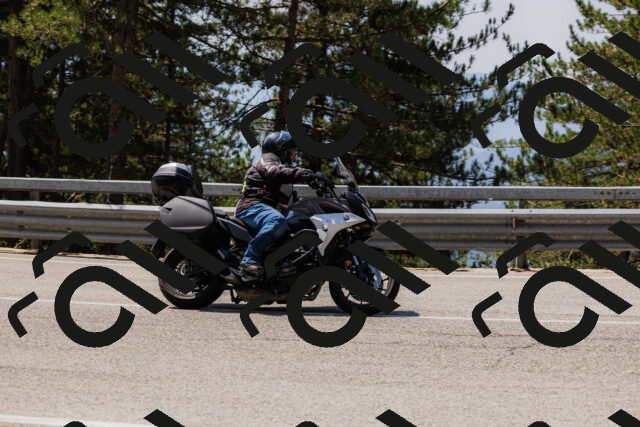 202508161212-_04A1000_c3