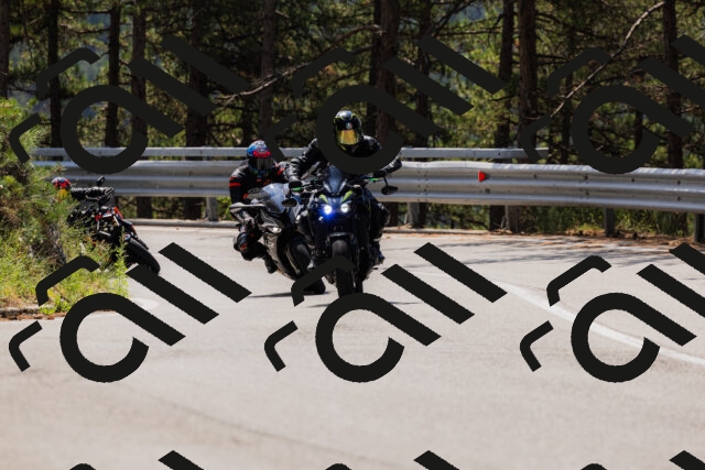 202508161212-_04A1003_c3