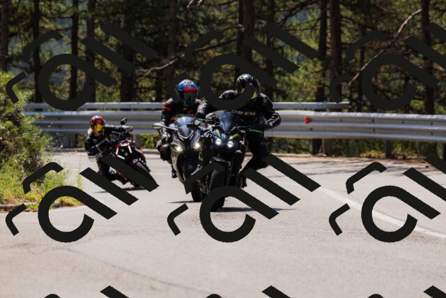 202508161212-_04A1004_c3