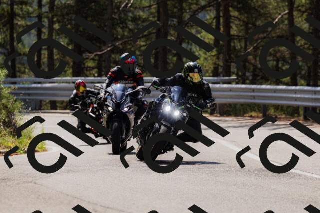 202508161212-_04A1005_c3