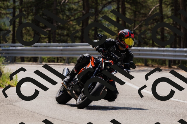 202508161212-_04A1008_c3