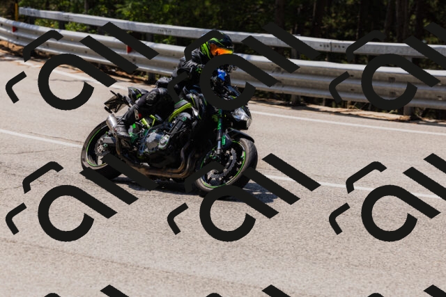 202508161212-_04A1009_c3