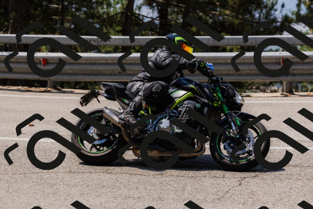 202508161212-_04A1010_c3