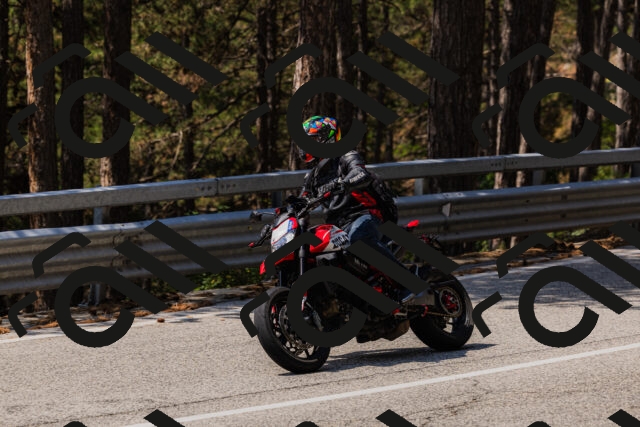 202508161213-_04A1011_c3