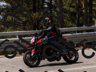 202508161213-_04A1012_c3