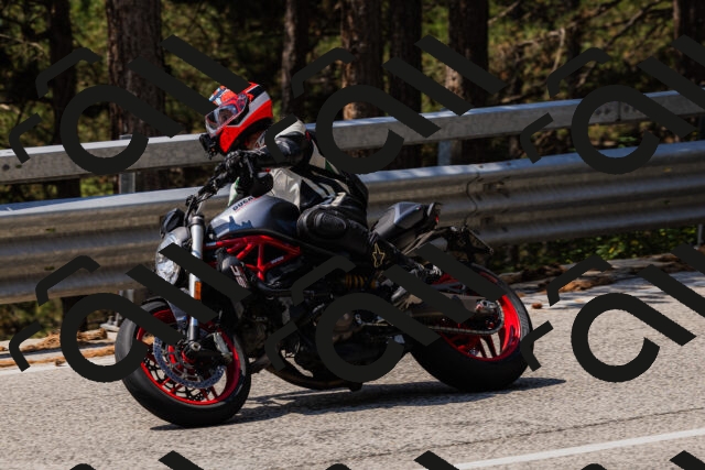 202508161213-_04A1013_c3