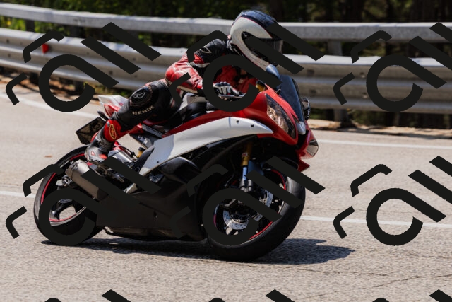 202508161214-_04A1017_c3