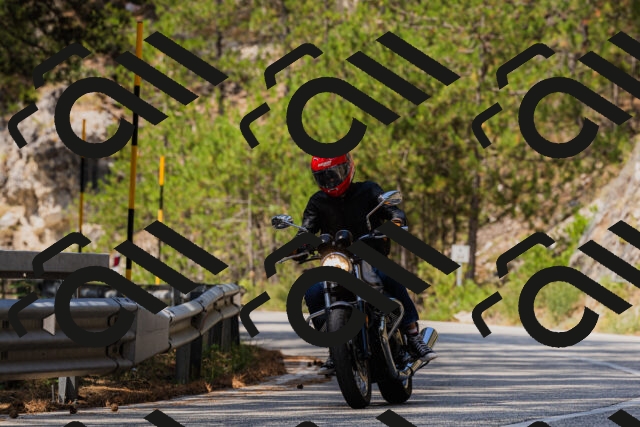 202508161215-_04A1018_c3