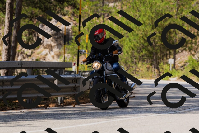 202508161215-_04A1019_c3