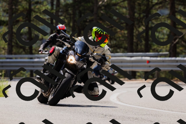 202508161215-_04A1020_c3