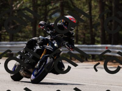 202508161216-_04A1022_c3