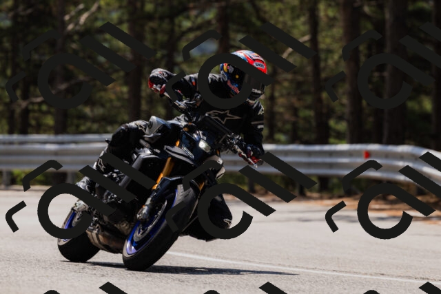 202508161216-_04A1022_c3