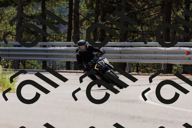 202508161217-_04A1029_c3