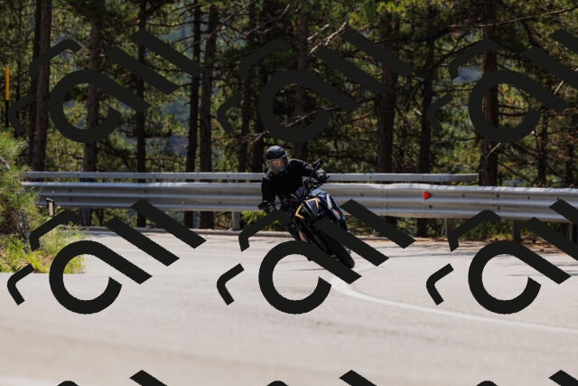 202508161217-_04A1030_c3