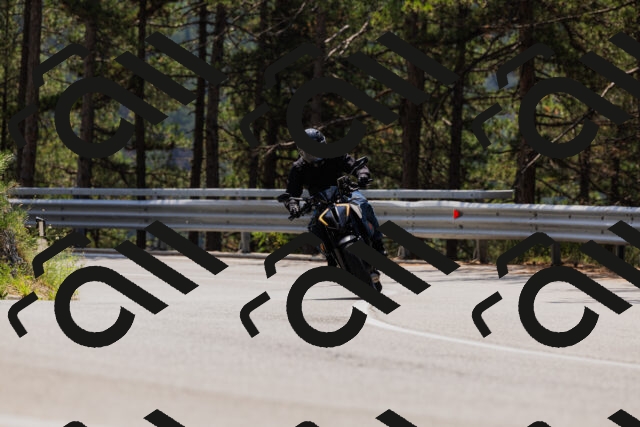 202508161217-_04A1031_c3