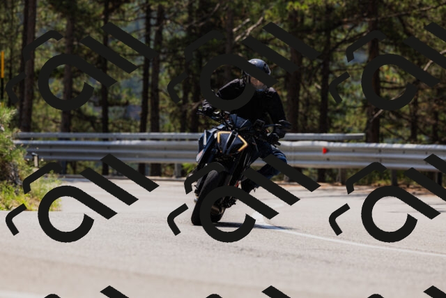 202508161217-_04A1033_c3