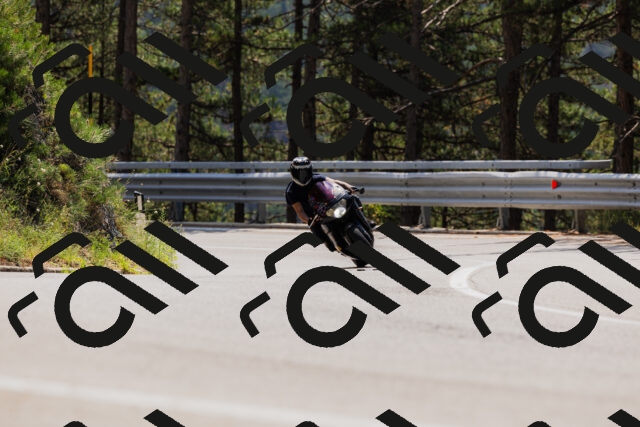 202508161217-_04A1035_c3