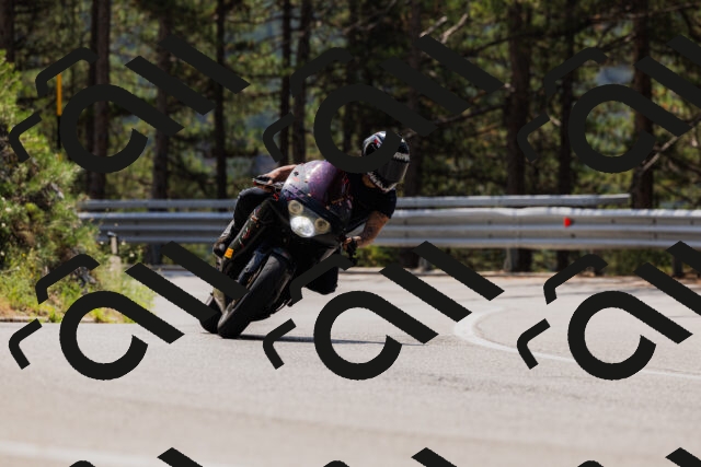 202508161217-_04A1038_c3