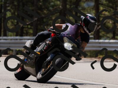 202508161217-_04A1039_c3