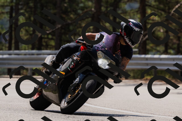 202508161217-_04A1039_c3