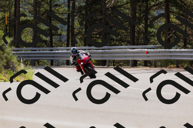 202508161218-_04A1040_c3