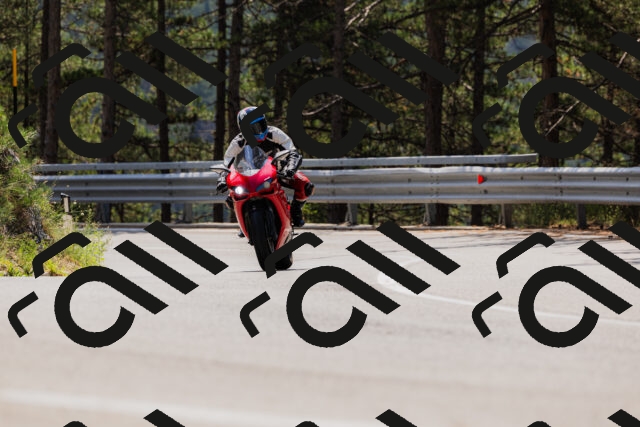 202508161218-_04A1042_c3