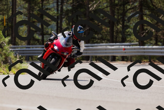 202508161218-_04A1045_c3