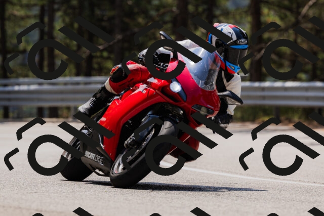 202508161218-_04A1046_c3