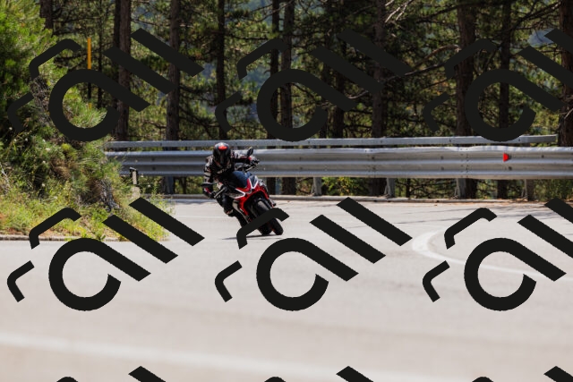 202508161221-_04A1047_c3