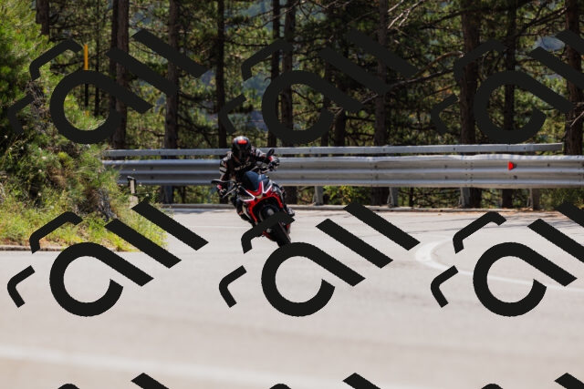 202508161221-_04A1048_c3