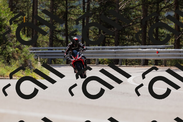 202508161221-_04A1049_c3