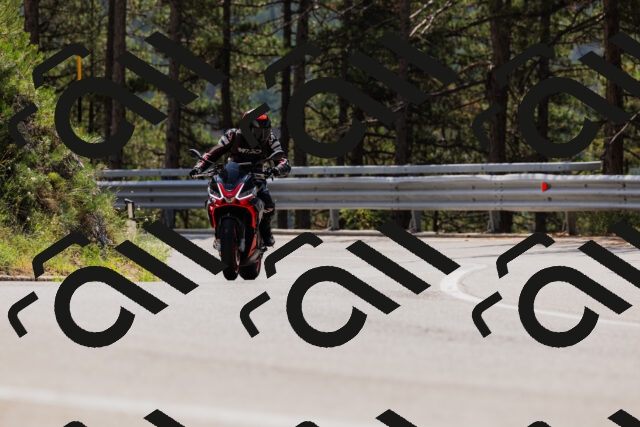 202508161221-_04A1050_c3