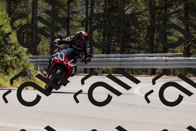 202508161221-_04A1052_c3