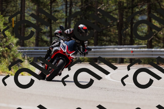 202508161221-_04A1053_c3