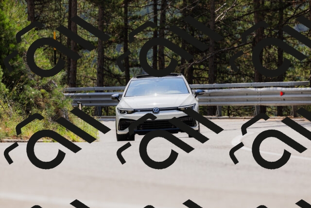 202508161223-_04A1056_c3